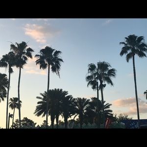 Meet your Posher, Ann